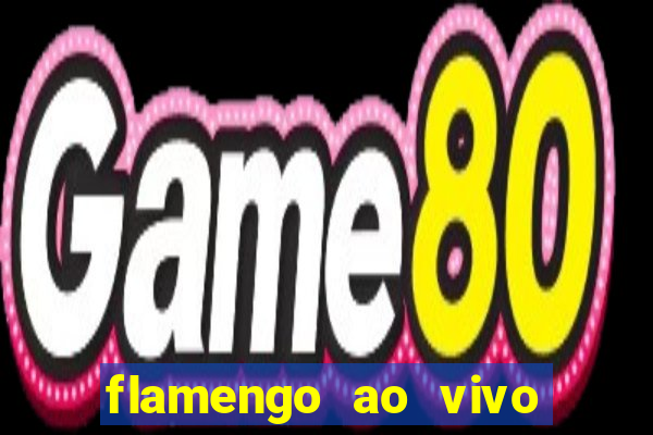 flamengo ao vivo hd play